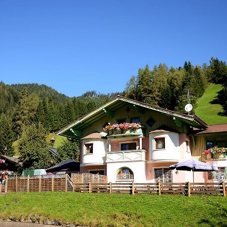 Appartements Baumanngut Wagrain Bagian luar foto